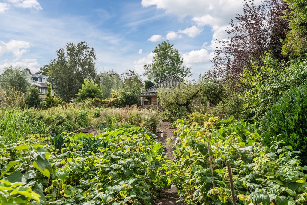 20250828, Noordeinde 91, Waddinxveen, Oudijk Makelaardij (91 of 114).jpg